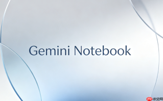 为什么GeminiNotebook无法识别导入的API密钥怎么解决