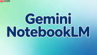 刚接触GeminiNotebook的新手如何快速调用API接口