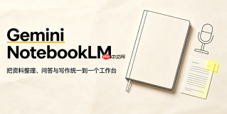 怎么把notebook里的geminiapi配置导出给其他团队成员用