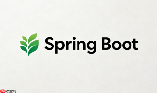 springboot自动配置条件注解最佳实践是什么