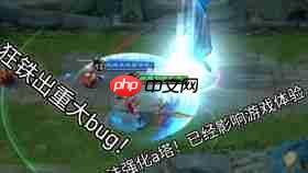 鹅鸭杀渡鸦怎么玩