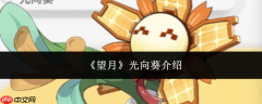 望月光向葵怎么样光向葵介绍
