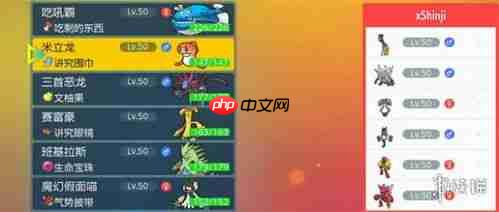 宝可梦冠军赛季M