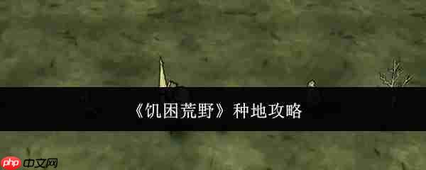 饥困荒野怎么种地种地攻略