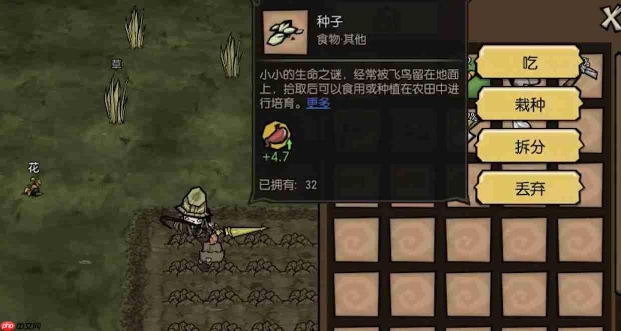 饥困荒野怎么种地种地攻略