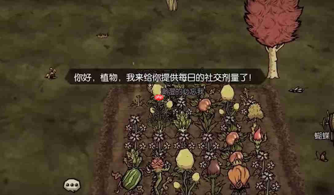 饥困荒野怎么种地种地攻略