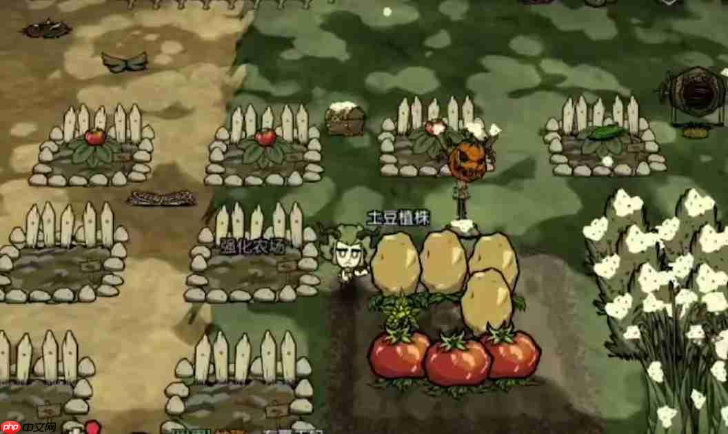 饥困荒野怎么种地种地攻略
