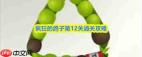 疯狂的鸽子第12关怎么通关