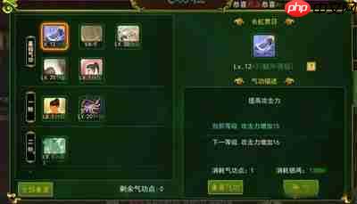 热血江湖觉醒五转前气功怎么加点