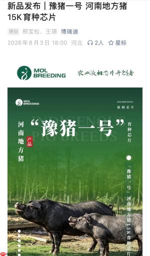 河南突破生猪育种 “豫猪一号”芯片开启基因育种新局!