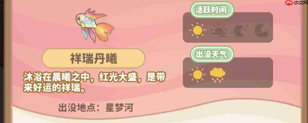 小岛日记钓鱼入门指南钓鱼心得分享
