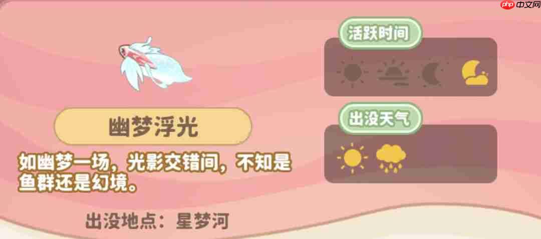 小岛日记钓鱼入门指南钓鱼心得分享