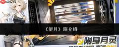望月昭怎么样昭介绍