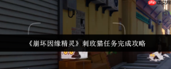 崩坏因缘精灵刺玫猫任务怎么完成刺玫猫任务完成攻略