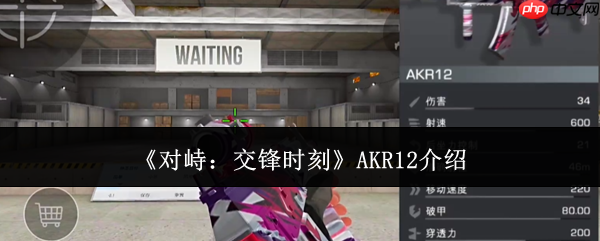对峙交锋时刻AKR12怎么样AKR12介绍