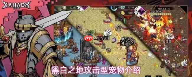 黑白之地攻击型宠物有哪些攻击型宠物介绍