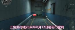 三角洲行动2026年8月12日密码