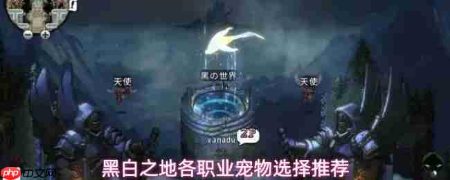 黑白之地各职业宠物选择建议各职业宠物选择推荐