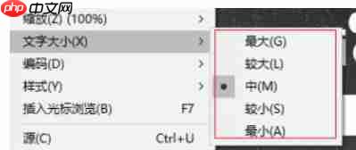 ie11怎么改变字号-ie11改变字号的方法