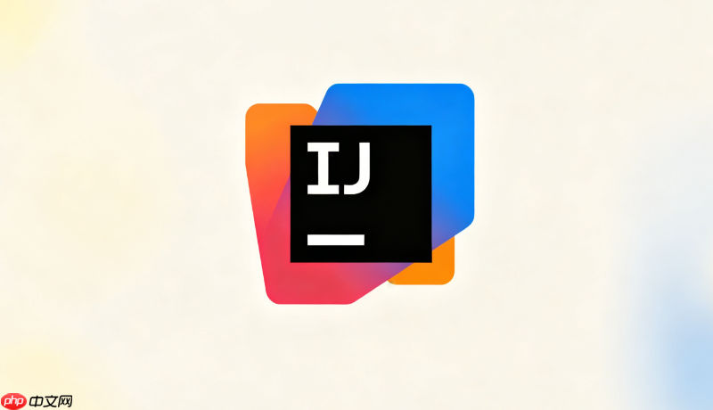 intellij idea 2026 jspecify空安全注解支持详解