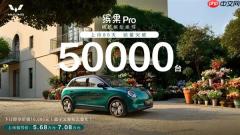 价格太亲民!五菱缤果Pro电动汽车上市80天销量破5万台