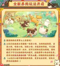 桃源深处有人家佑宠愿灵活动有什么佑宠愿灵活动介绍