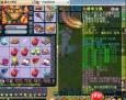 梦幻西游159狮驼岭如何选择装备属性