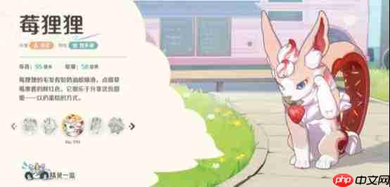 崩坏因缘精灵黑琪琪怎么获取黑琪琪获取攻略