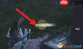 燕云十六声扶风甸猫咪位置在哪