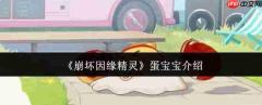 崩坏因缘精灵蛋宝宝怎么样蛋宝宝介绍