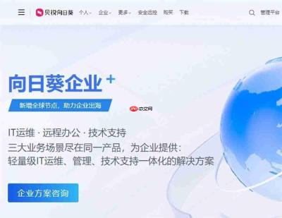 向日葵企业远程技术支持方案:构建标准化、自动化的售后服务新基建