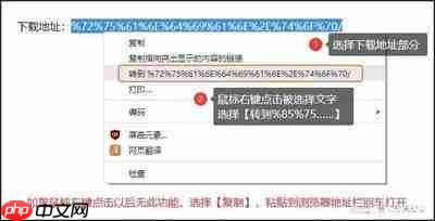 如何获取Adobe Bridge安装文件了解Adobe Bridge部署流程