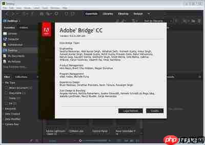 如何获取Adobe Bridge安装文件了解Adobe Bridge部署流程