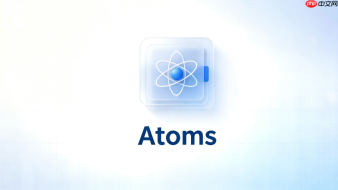 Atoms生成代码二次修改DTO字段映射处理教程
