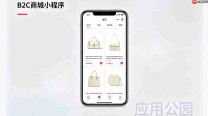 B2C商城小程序,普通商家常用的线上店铺