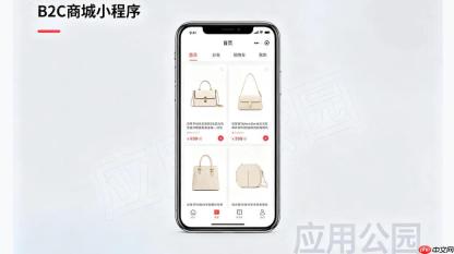 B2C商城小程序,普通商家常用的线上店铺