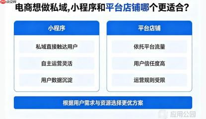 电商想做私域,小程序和平台店铺哪个更适合?
