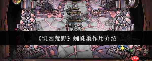 饥困荒野中蜘蛛巢有何用?蜘蛛巢作用详解