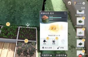 恋与深空家园系统园艺怎么升级