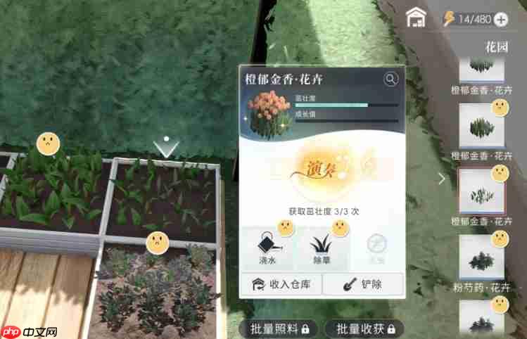 恋与深空家园系统园艺怎么升级