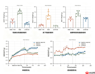 联动产学研资源,脑机星链推动超声脑机接口技术成果转化