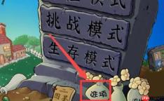 植物大战僵尸杂交版全屏设置教程