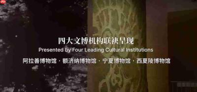 以数字光影守护居延文脉 爱普生点亮“永不消失的黑水城”