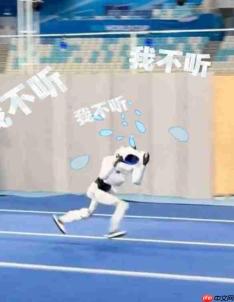 机器人