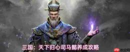 三国天下归心司马懿玩法解析司马懿养成攻略