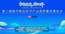 三赛盛势收官 松香新程启幕|梅河新区文体聚势赋能特色产业高质量发展