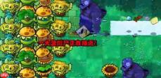 《植物大战僵尸杂交版》挑战模式第16关通关攻略-520下载站