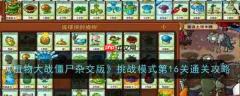 《植物大战僵尸杂交版》挑战模式第16关通关攻略-520下载站