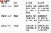 地牢猎手6全随从强度排行一览全随从强度排行榜