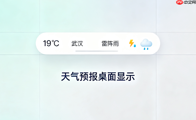 dandyweather 14.11.60中国气象局数据桌面插件安装